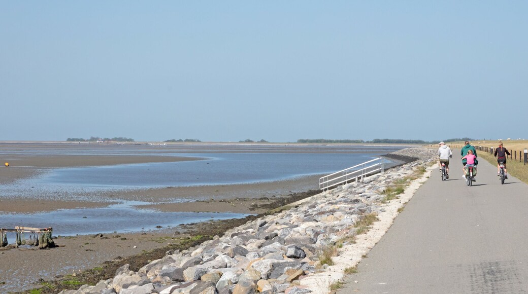 Cyclists cycling on a dyke