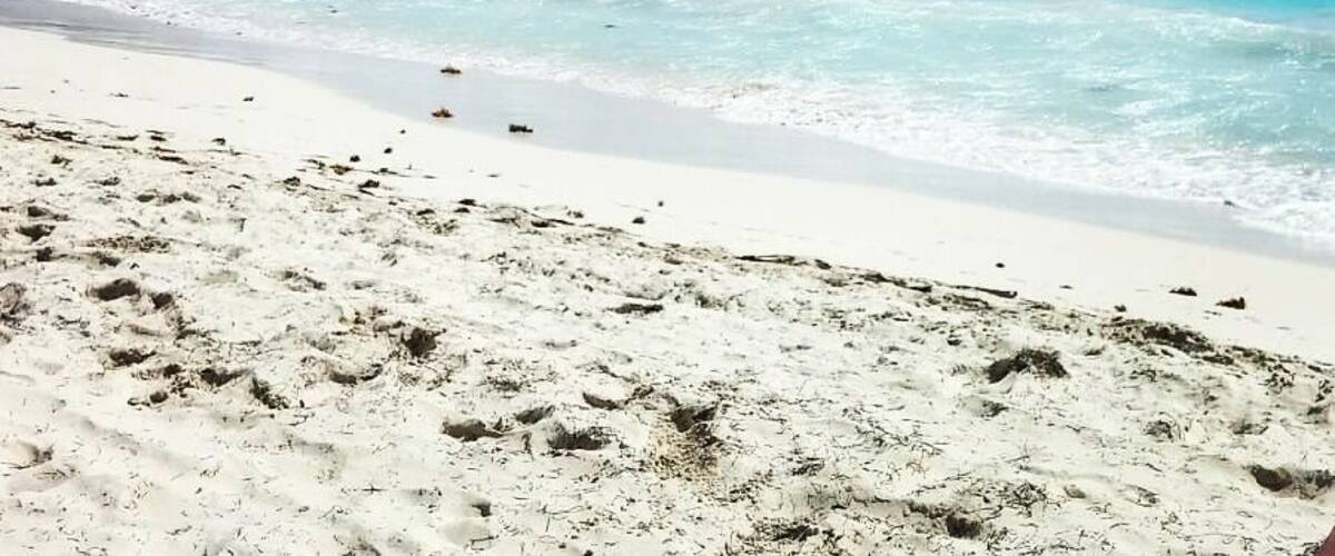 Orient Beach Sint Martin🌊🌊🌊🌊