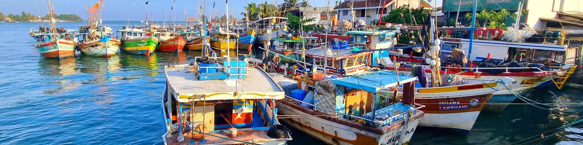 Port de Negombo, Sri Lanka