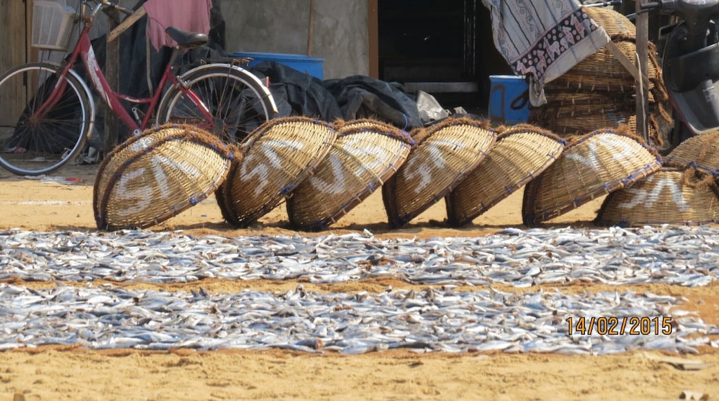 Fishing Market, Negombo, very interesting!