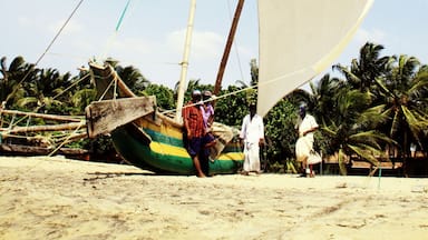 Un velero tradicional en una playa arenosa con palmeras al fondo.