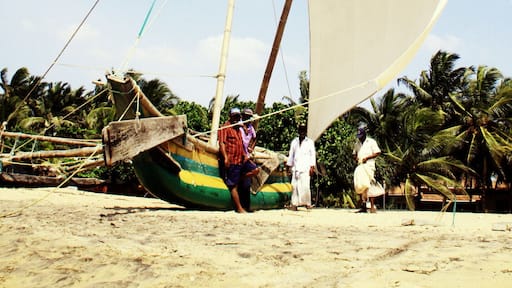 These old boats blowing sails in the wind at negombo beach are meditation material for your eyes...