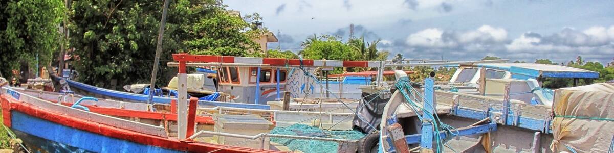 To our surprise, Negombo is a city full of life, vibrant with colours. The local fishermen and their wives busy drying their catch of the day. #Srilanka #nationalpark #water #hiking #nature #boats #travel #landscape #river