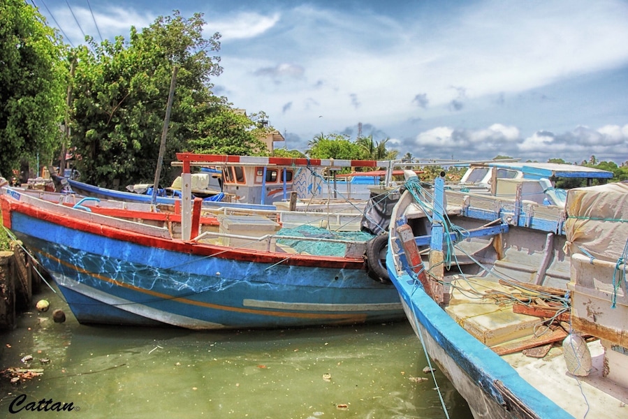 To our surprise, Negombo is a city full of life, vibrant with colours. The local fishermen and their wives busy drying their catch of the day. #Srilanka #nationalpark #water #hiking #nature #boats #travel #landscape #river