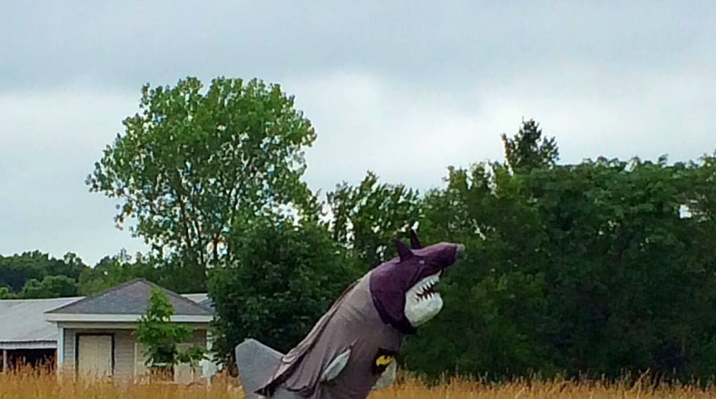Located off a country road between Charleston and Mattoon, this shark is dressed in a variety of costumes throughout the year. On this visit he was dressed as Batman.