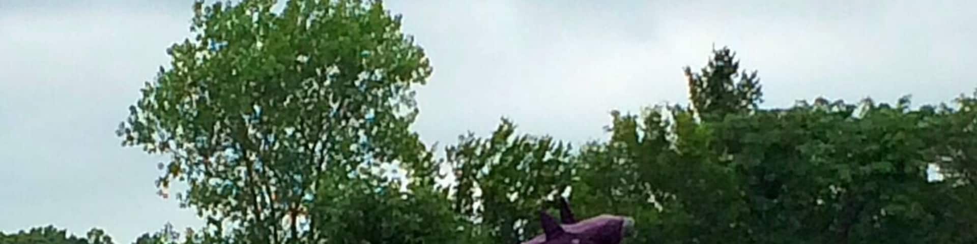 Located off a country road between Charleston and Mattoon, this shark is dressed in a variety of costumes throughout the year. On this visit he was dressed as Batman.