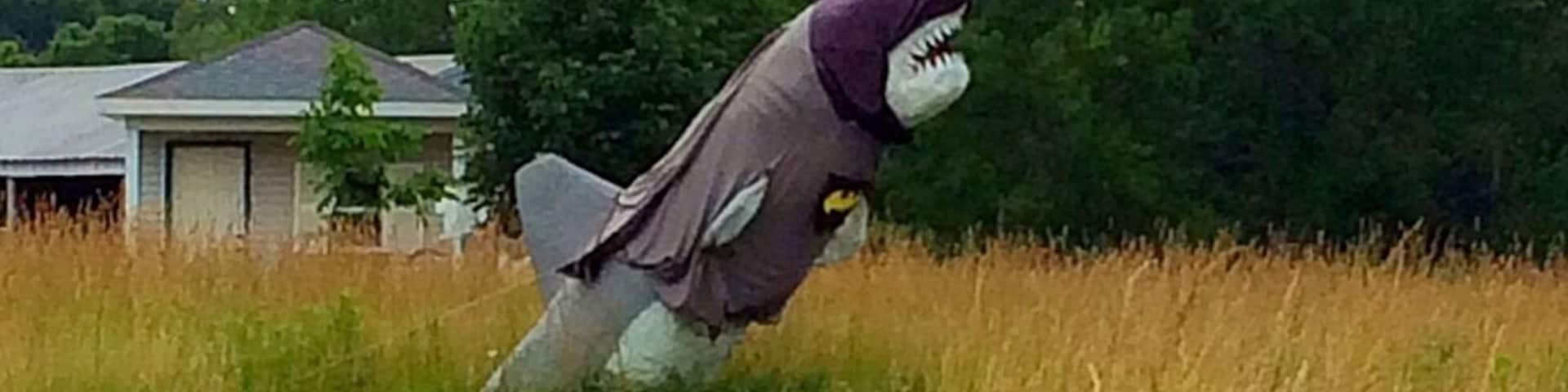 Located off a country road between Charleston and Mattoon, this shark is dressed in a variety of costumes throughout the year. On this visit he was dressed as Batman.