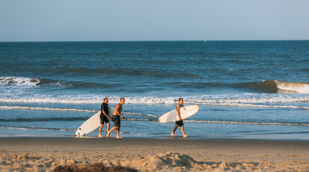Sandbridge Beach which includes a sandy beach and surfing as well as a small group of people