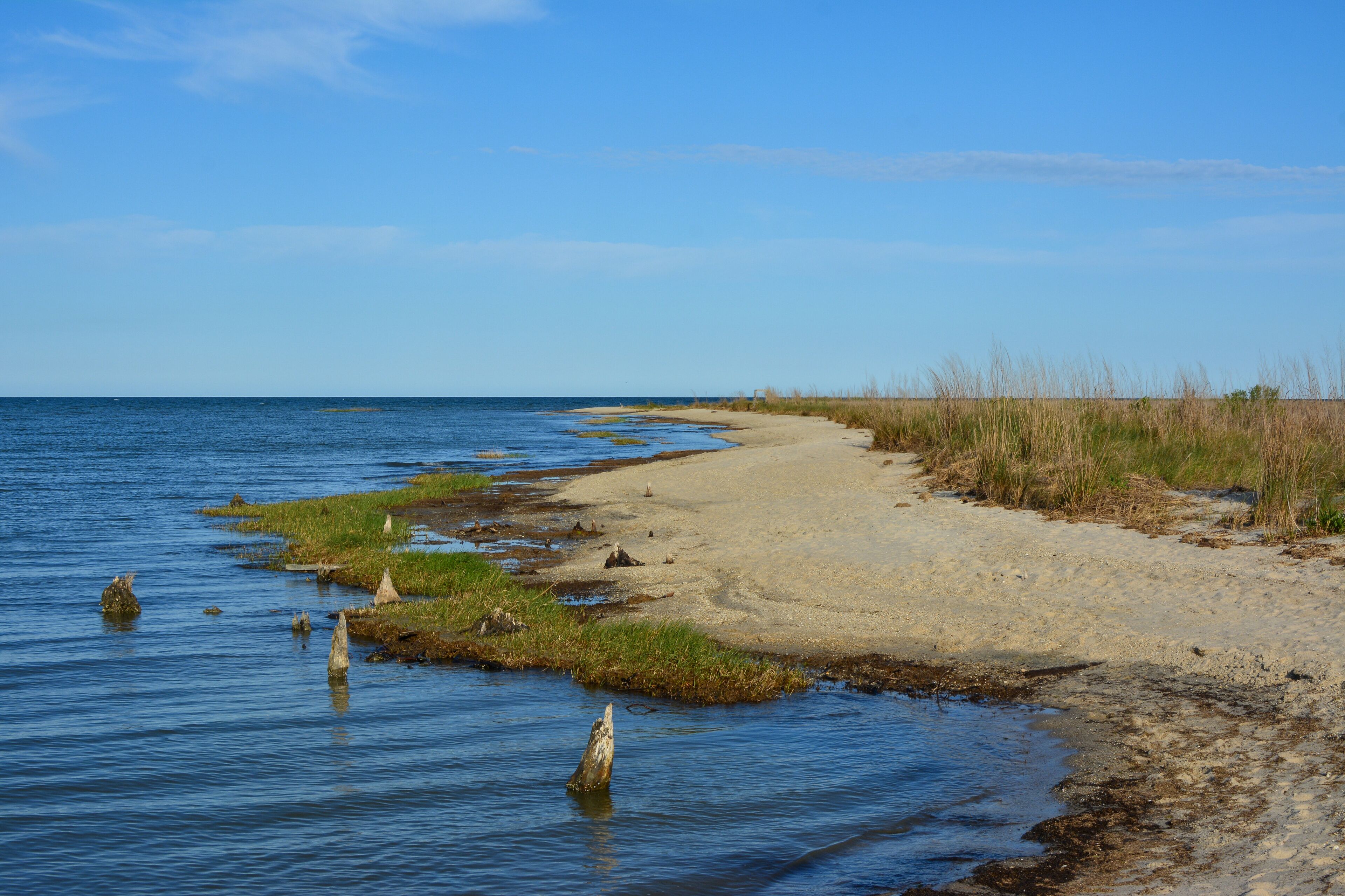 Reedville