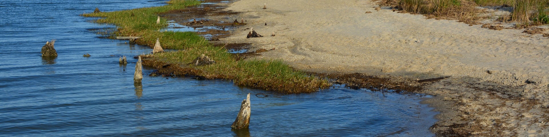 Wide open beach along the Chesapeake Bay at Hughlett Point Natural Area at the tip of the Northern Neck in Virginia.