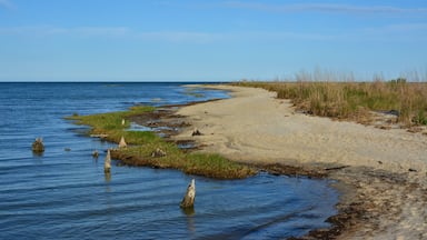 Wide open beach along the Chesapeake Bay at Hughlett Point Natural Area at the tip of the Northern Neck in Virginia.