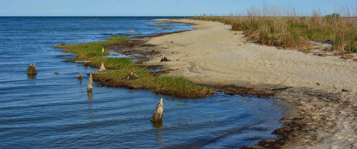 A sandy beach with water and grass.