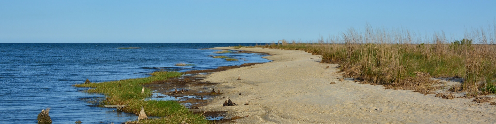 A sandy beach with water and grass.