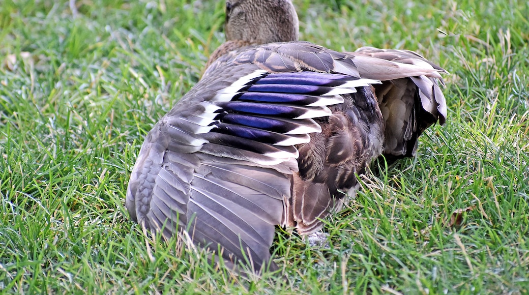 I can never get over the colors, details, and patterns.