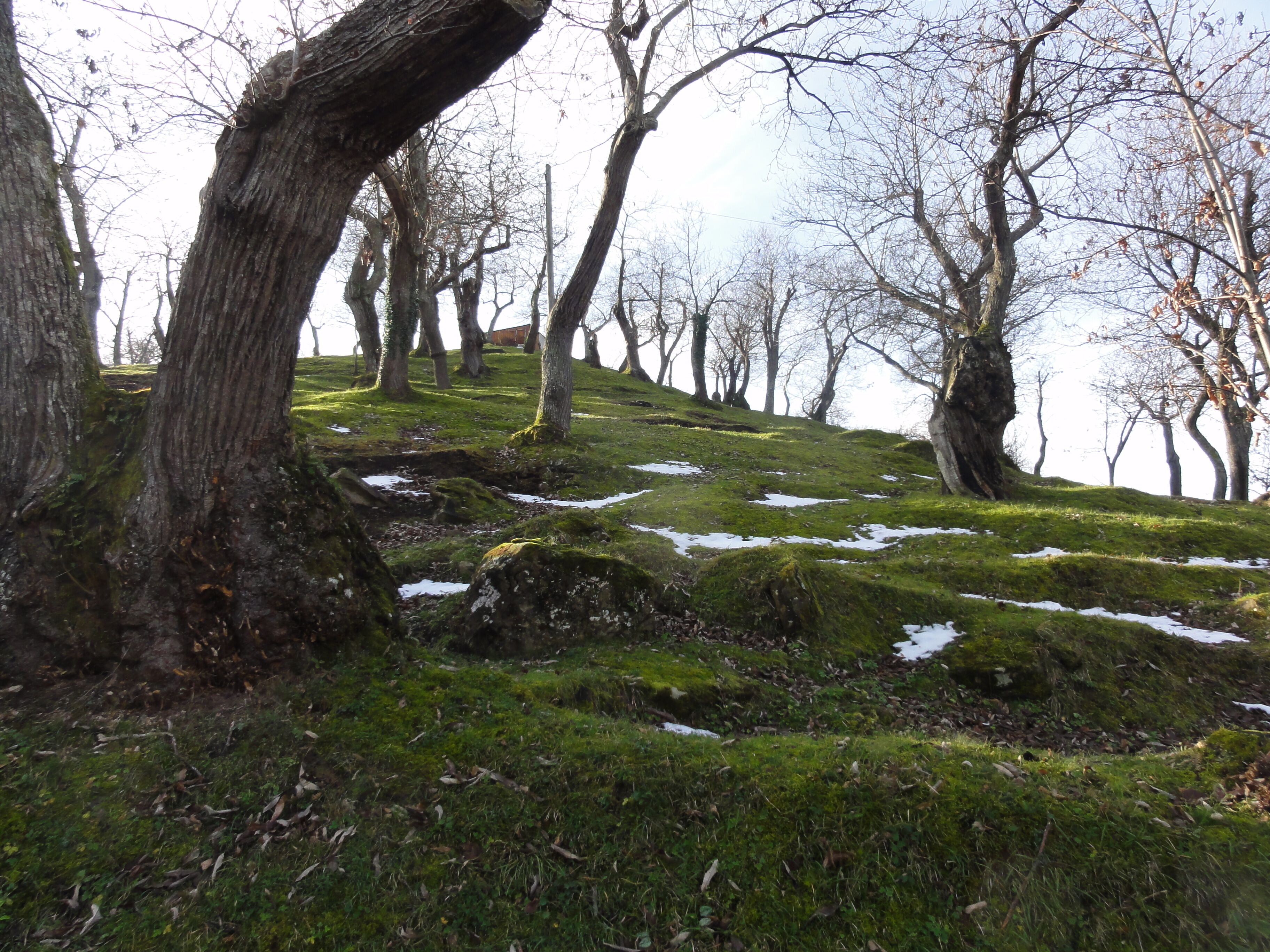 il castagneto sopra Tirli