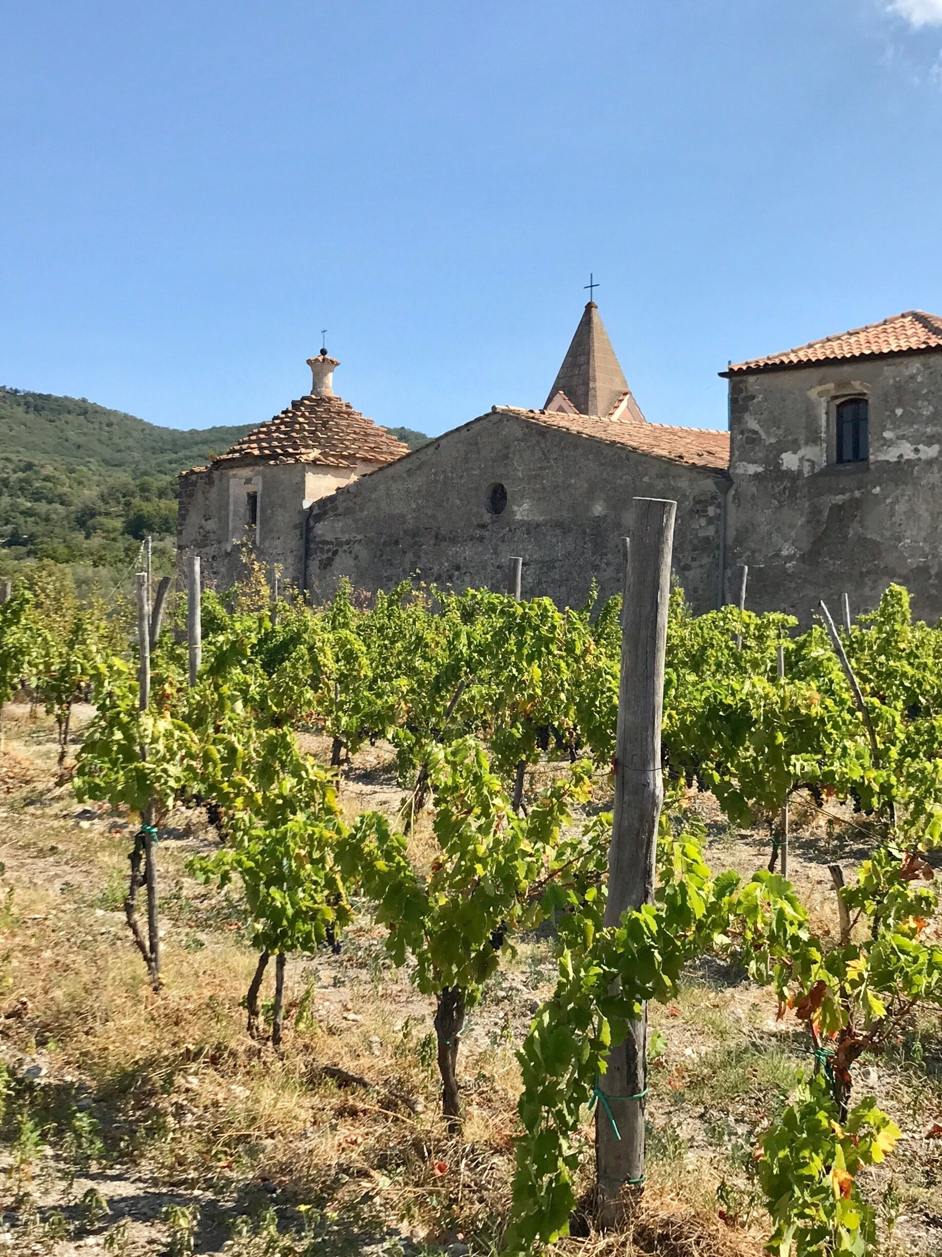 Small but absolutely beautiful winery. Wonderful history with a fantastic family atmosphere! Great tasting! 