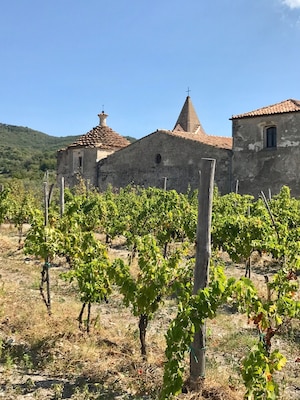 Small but absolutely beautiful winery. Wonderful history with a fantastic family atmosphere! Great tasting!