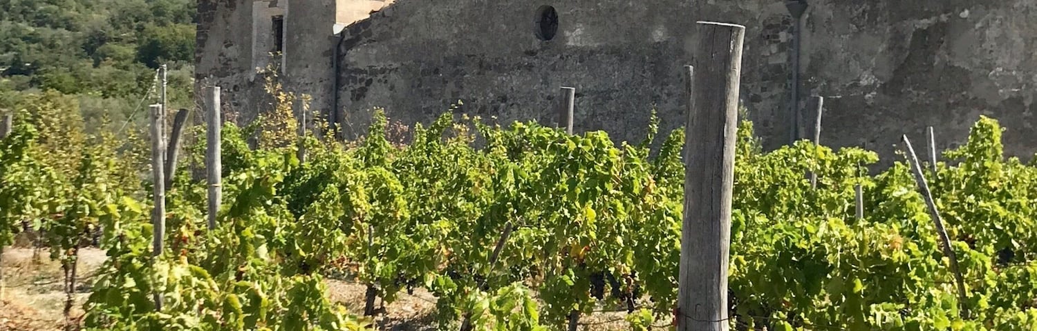 Small but absolutely beautiful winery. Wonderful history with a fantastic family atmosphere! Great tasting!