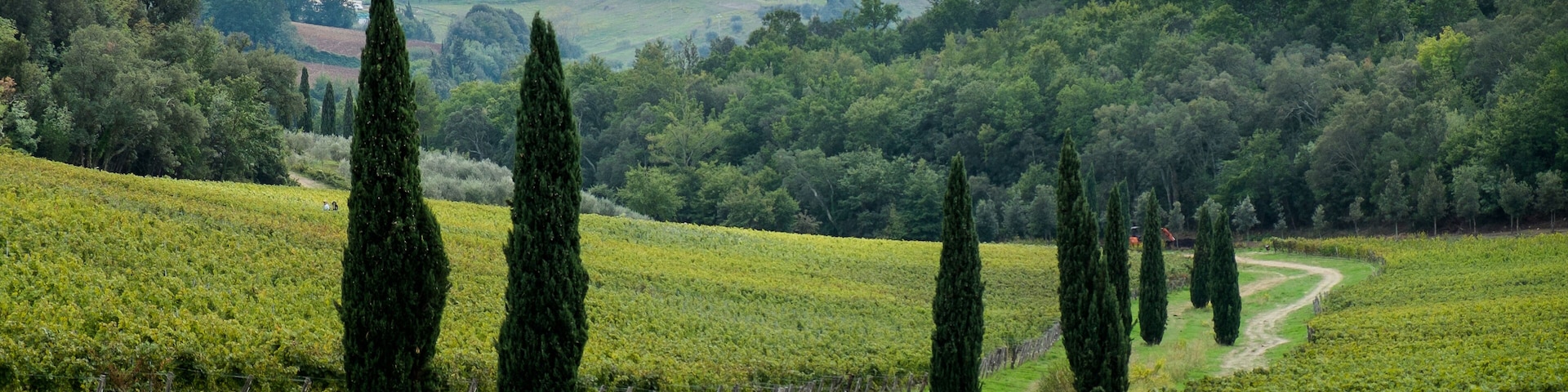 Riparbella, Livorno, Italy - October 05, 2017 - Hikers walk along the hills in Tuscany