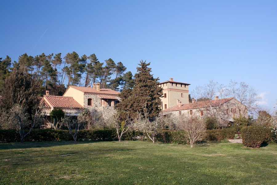 Loc. Il Doccino - Riparbella - Toscana - Italy