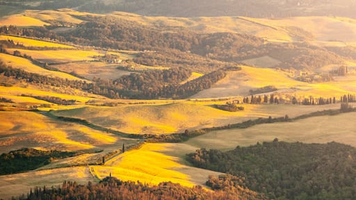 Evening in Tuscany. Hilly Tuscan landscape in golden mood at sunset time with silhouettes of cypresses and farm houses near Montaione, Italy.