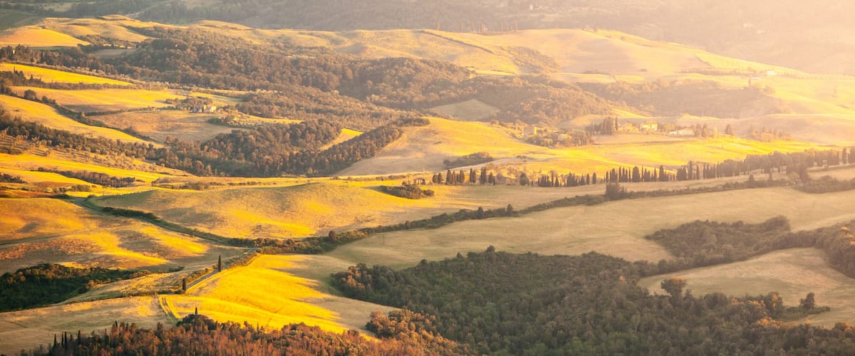Rolling hills, a winding road, and scattered trees.
