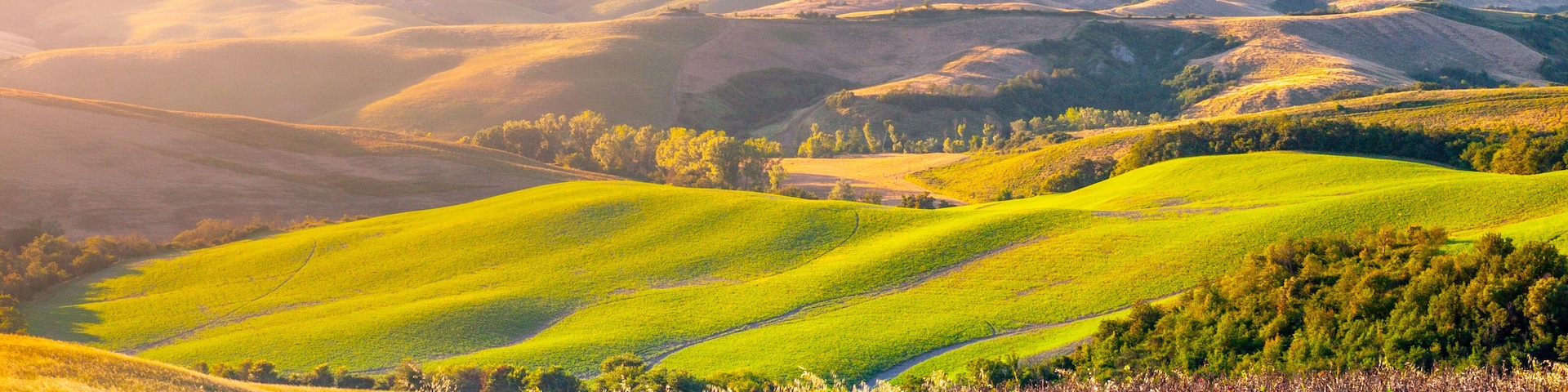 Evening in Tuscany. Hilly Tuscan landscape in golden mood at sunset time with silhouettes of cypresses and farm houses near Montaione, Italy.