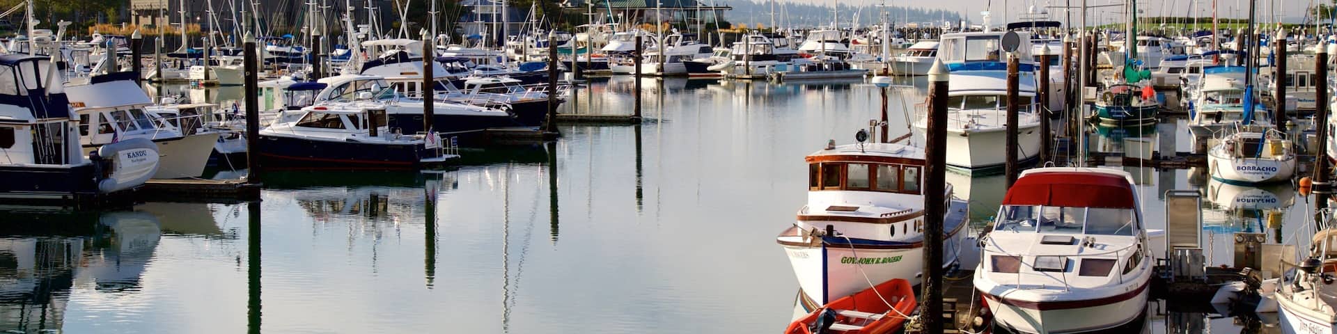 A marina with various boats docked, calm water, and buildings in the background.
