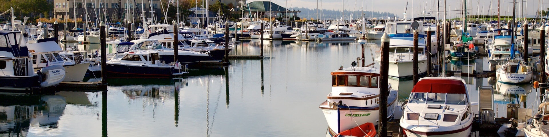 Uma marina com vários barcos atracados, águas calmas e edifícios ao fundo.