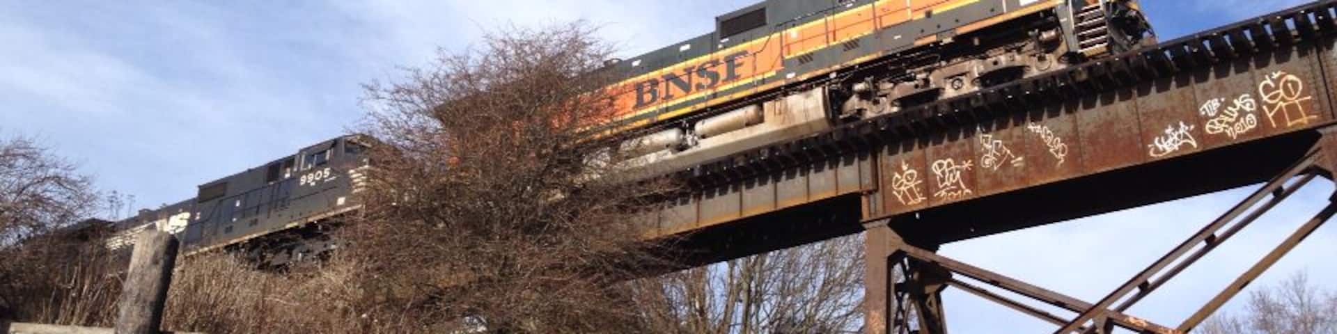 One of my favorite places to walk in Bellingham.