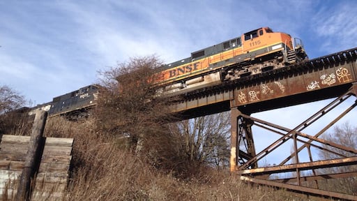 One of my favorite places to walk in Bellingham.