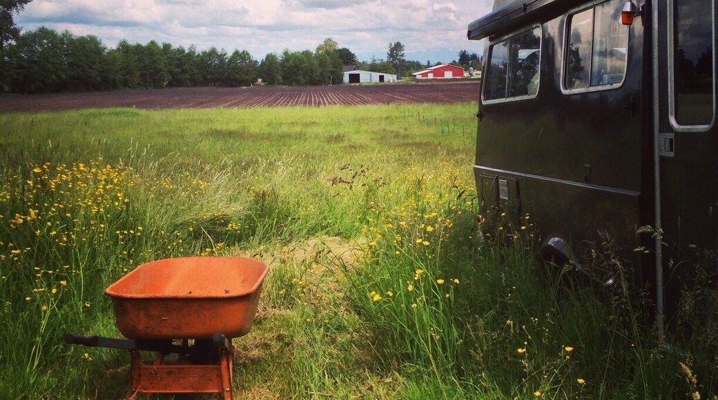 Where I was parked for a few, north of Bellingham.