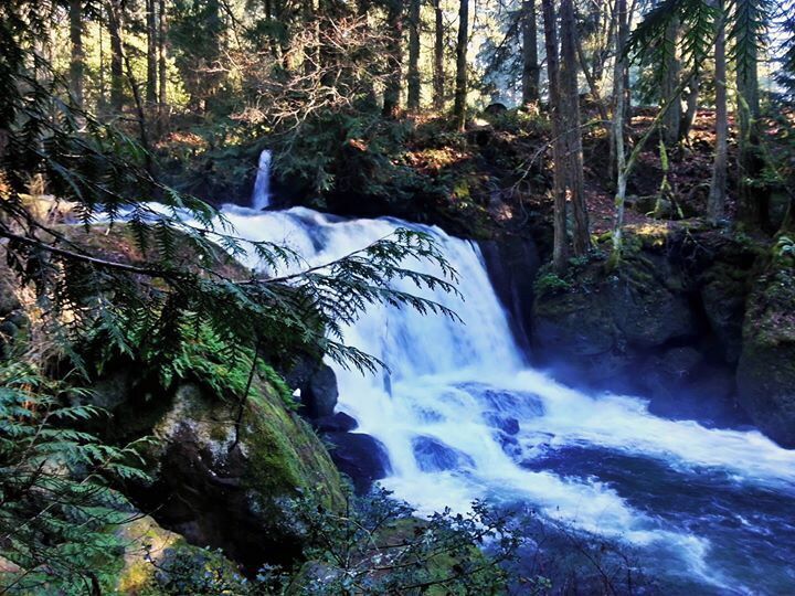 Whatcom Falls park in Bellingham, Washington. 
A nice place to explore with a moss and fern covered stone bridge.