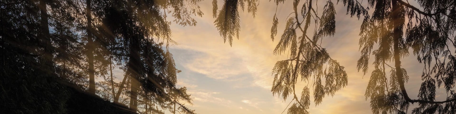 Beautiful sunsets here!