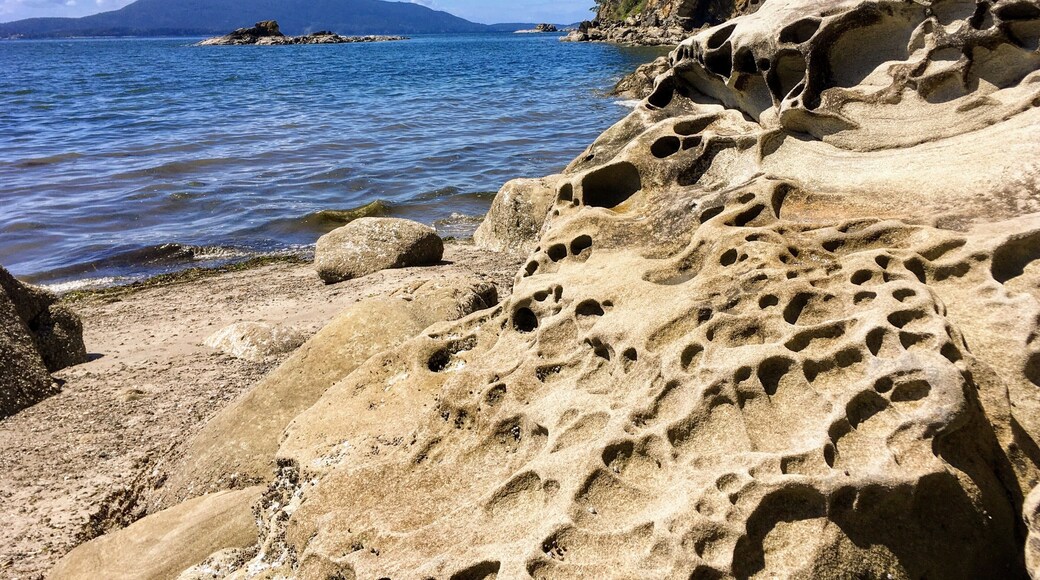 Stunning scenery in Bellingham. #OrbitzTravel