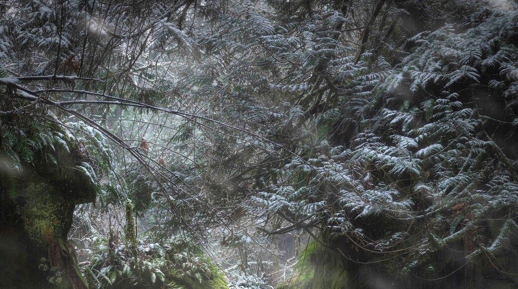 First snow of the year, great place to go for waterfalls! #Perspectives