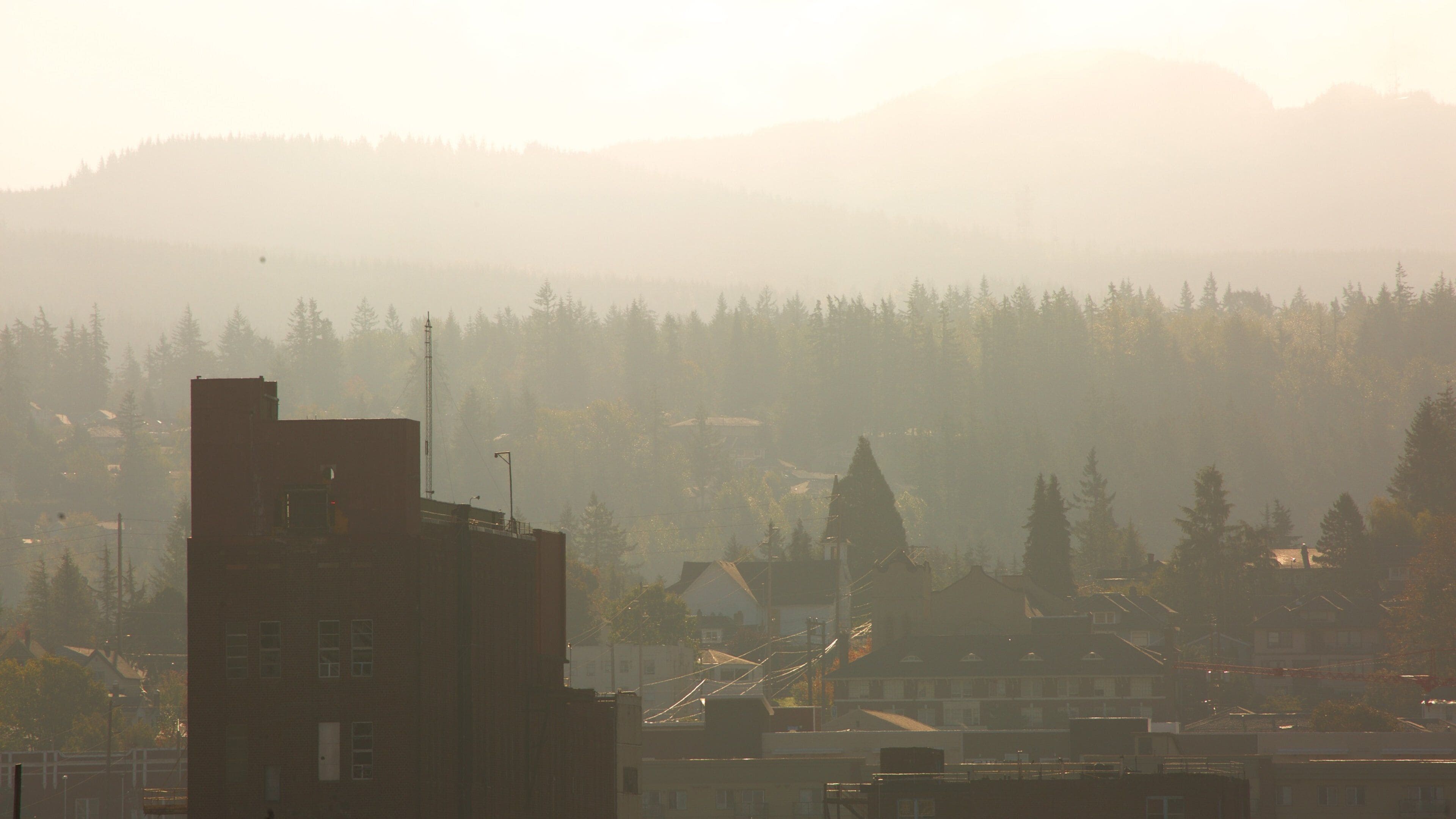 Bellingham which includes a sunset, mist or fog and forest scenes