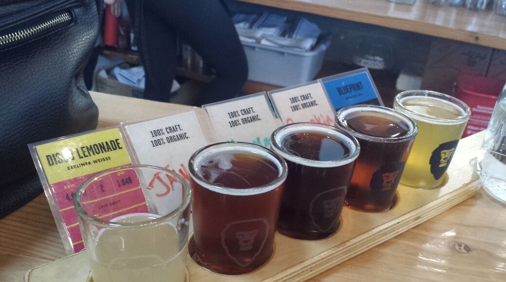 Delicious brews and a really great Happy Hour at Aslan Brewing in Bellingham, WA!