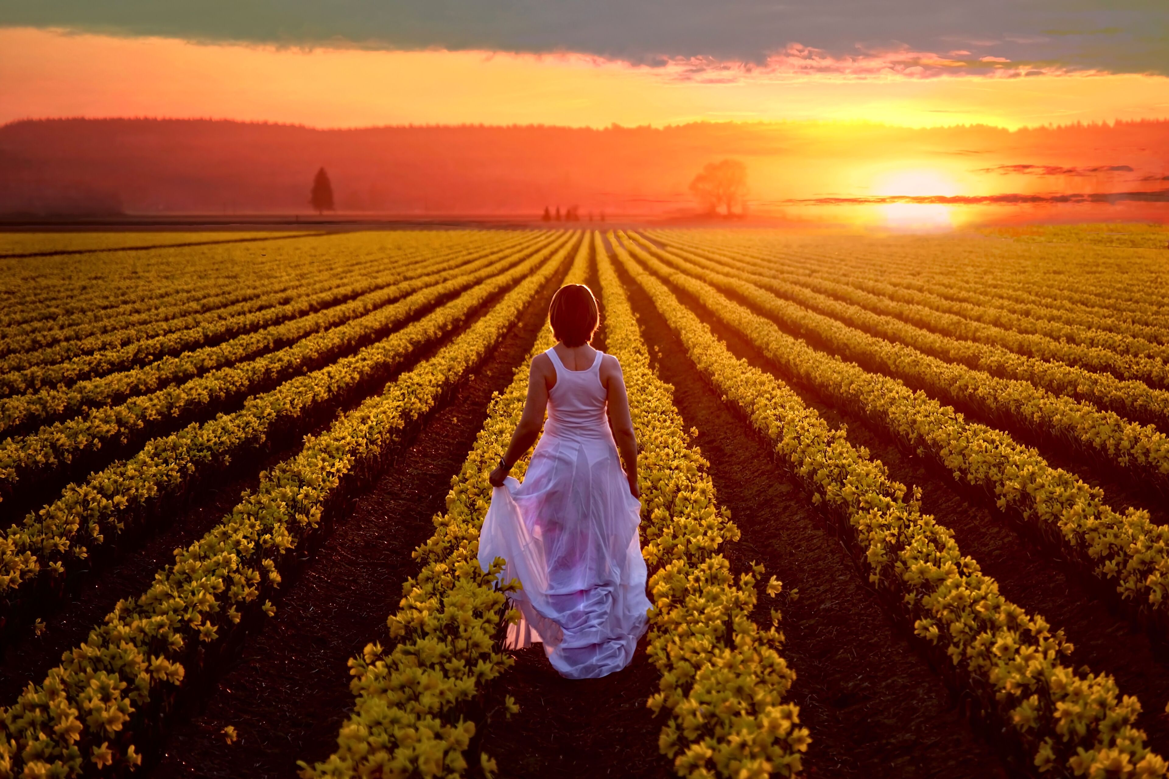 A woman in a white dress walking through a field of yellow flowers at sunset.