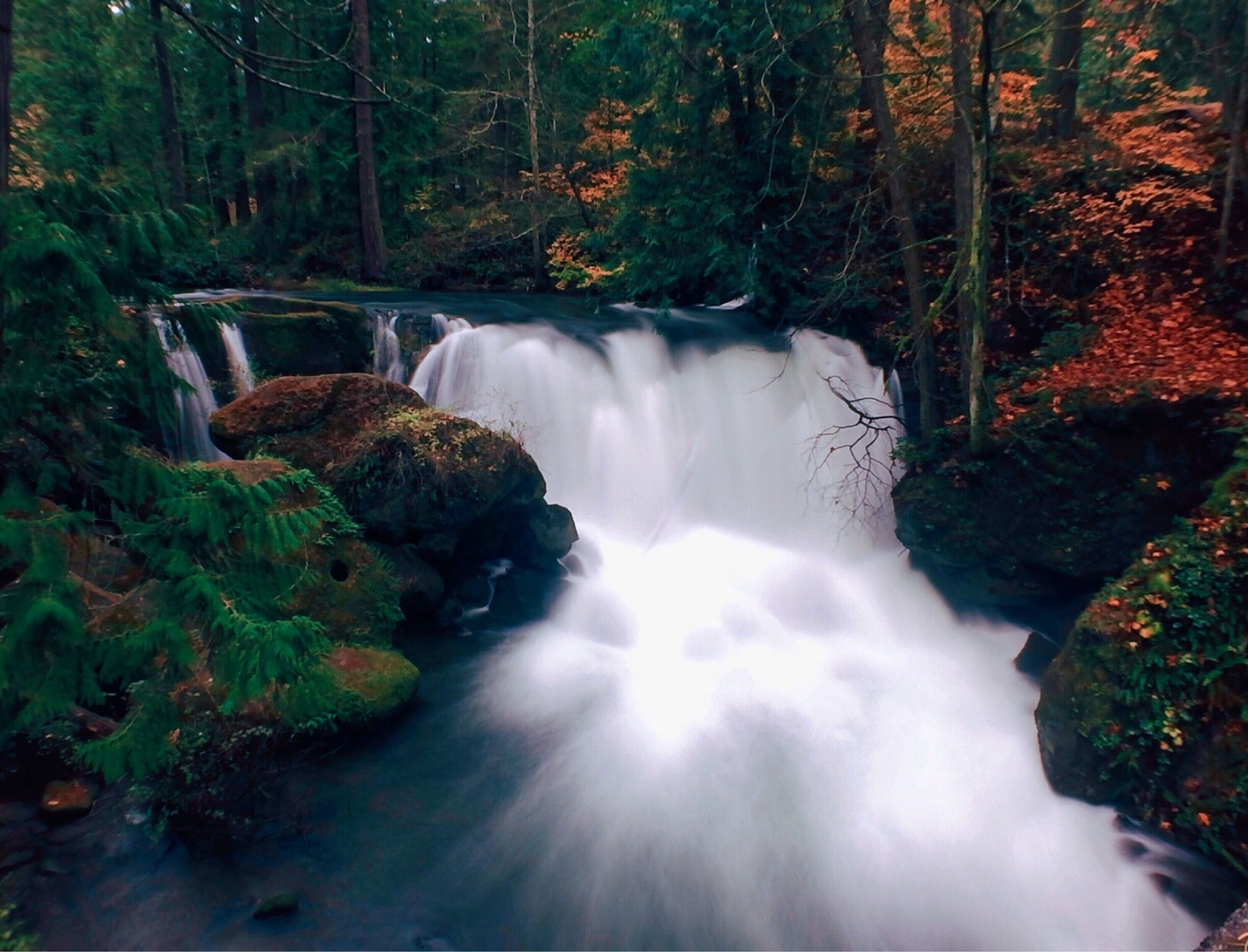Autumn Beauty #roadtrip #waterfalls #nature #autumn #colorful #travel #adventure 