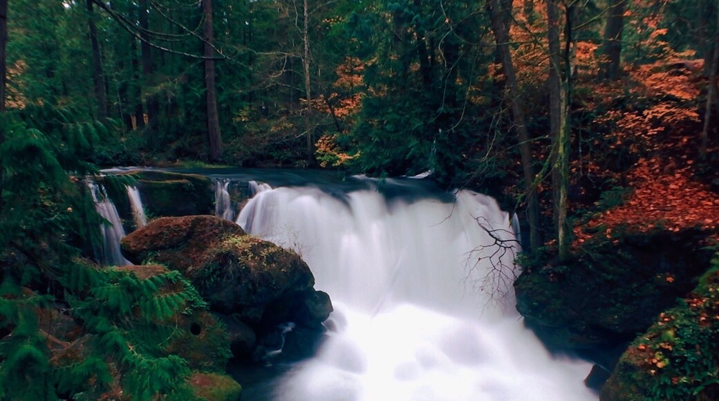 Autumn Beauty #roadtrip #waterfalls #nature #autumn #colorful #travel #adventure
