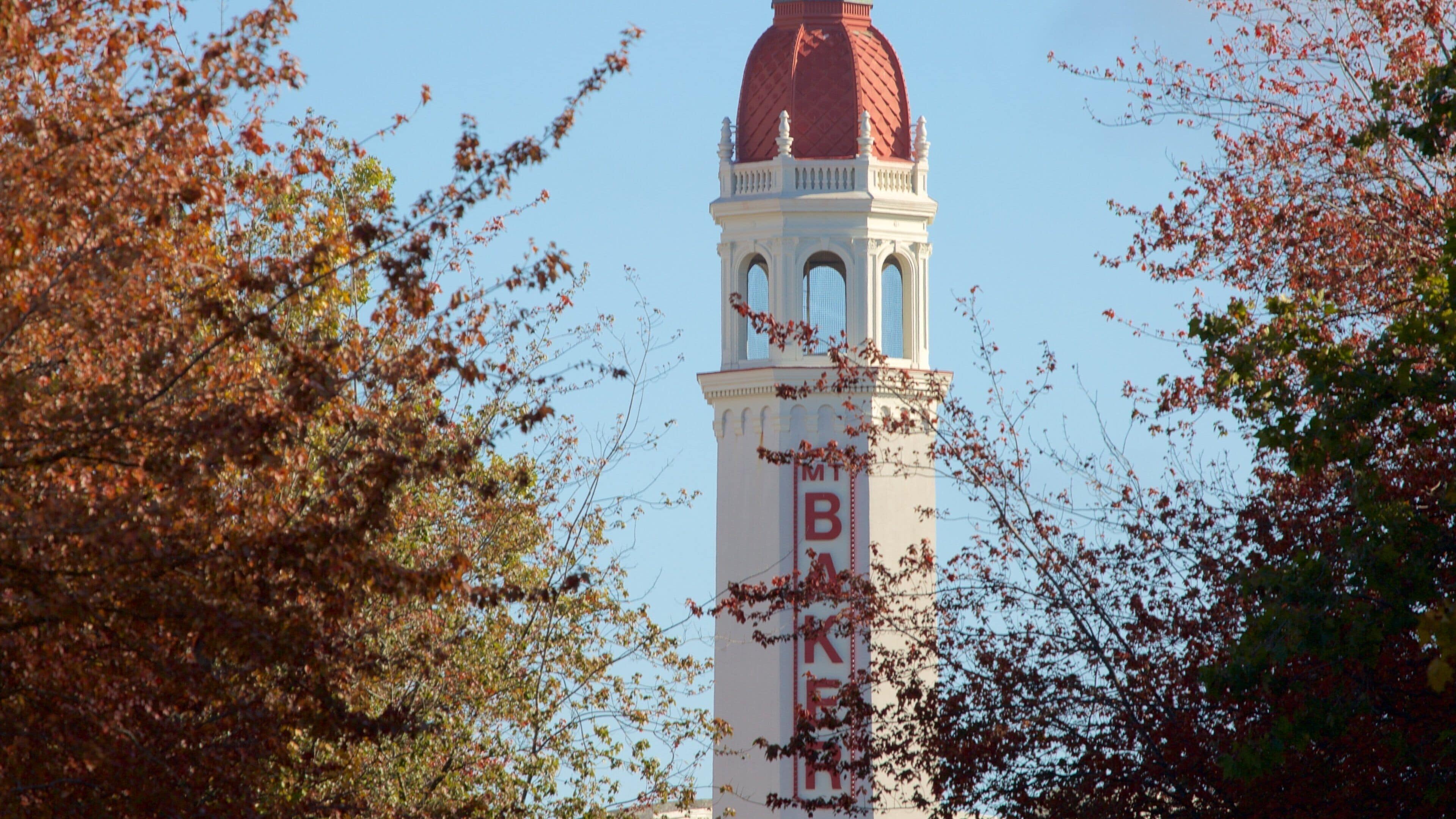 Bellingham showing autumn leaves and heritage architecture