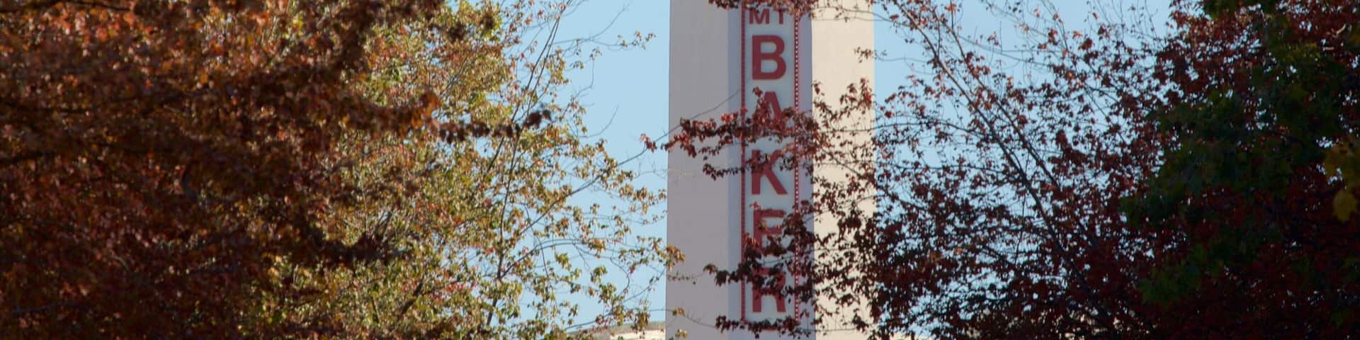 A tower with a red dome and the letters "MTB" on its side, surrounded by autumn foliage.