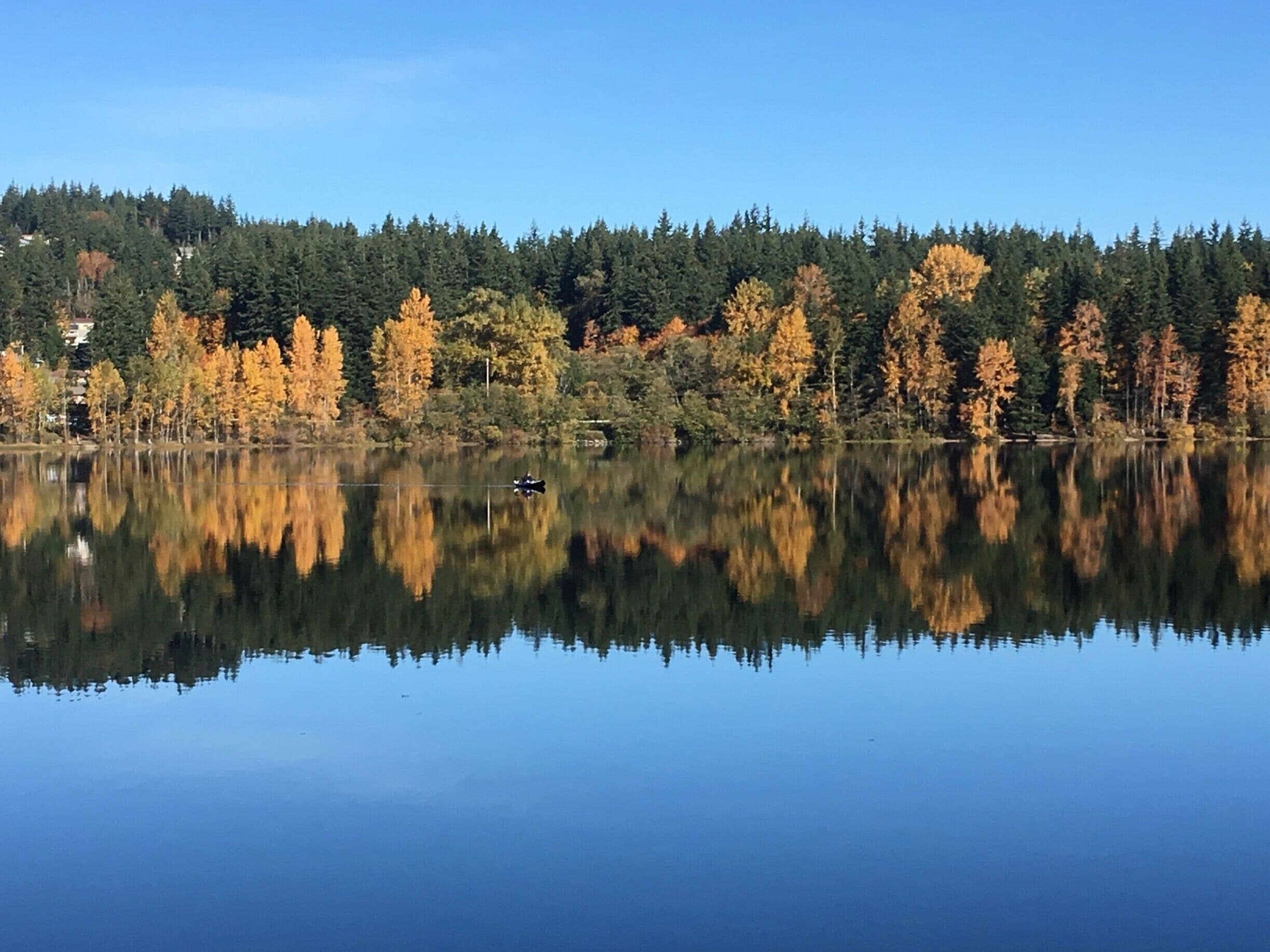Nice North West Autumn colors on a sunny day.