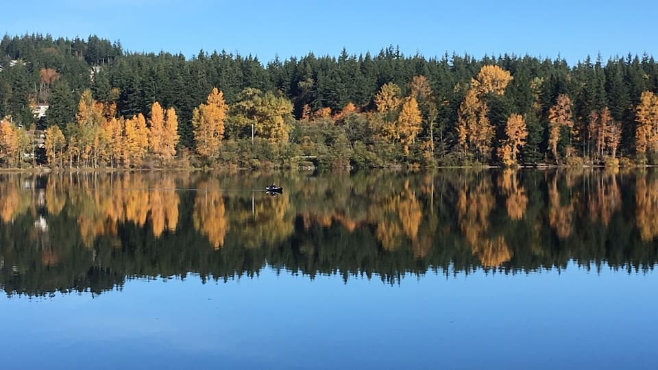 Nice North West Autumn colors on a sunny day.