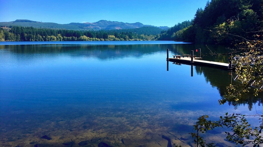 Lake Padden on a sunny Fall day!
