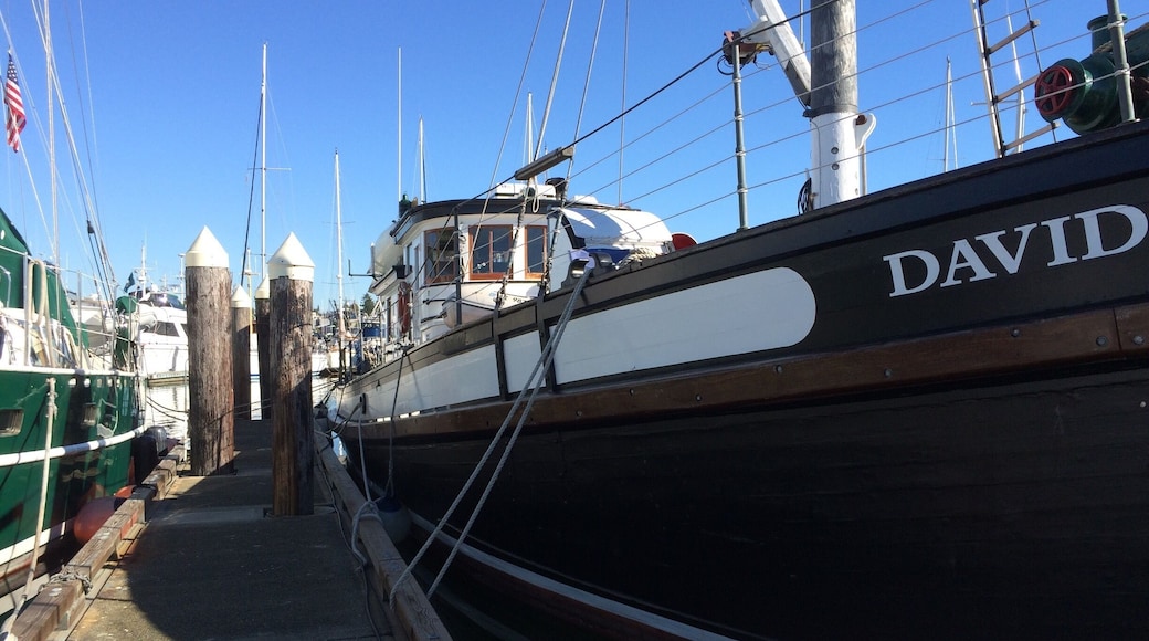 Taking off on The David B tomorrow