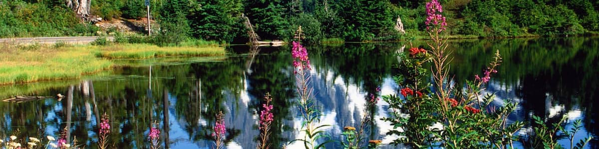 Bellingham das einen Berge, Schnee und See oder Wasserstelle