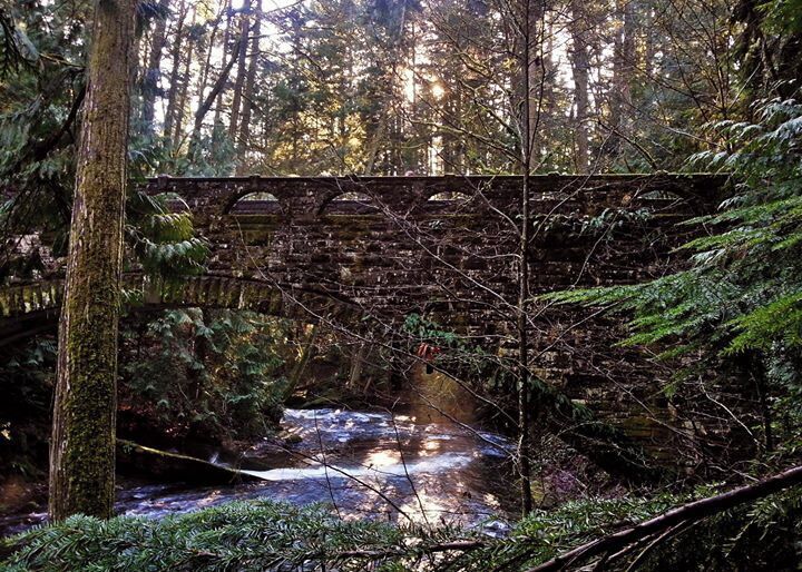 Whatcom Falls park in Bellingham, Washington. 
A nice place to explore with a moss and fern covered stone bridge.