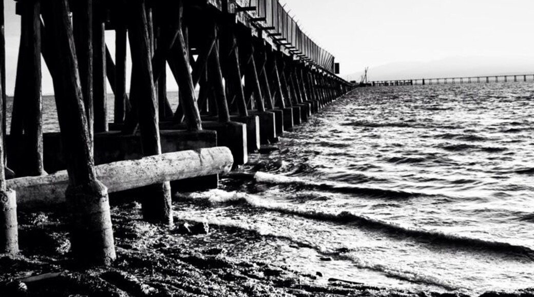 If I had enough heart, I might have found a way past the heavily guarded gate onto the dock; but I didn't. This was as close as I could get.